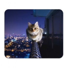Коврик прямоугольный с принтом Киса на балконе в Петрозаводске, натуральный каучук | размер 230 х 185 мм; запечатка лицевой стороны | cat | kitty | животные | киса | кот | котенок | котэ | кошка