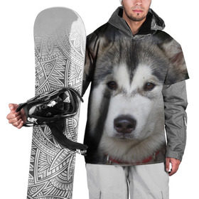 Накидка на куртку 3D с принтом Хаски в Петрозаводске, 100% полиэстер |  | волк | маламут | собака | хаски | щенок