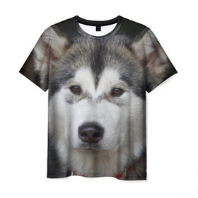 Мужская футболка 3D с принтом Хаски в Петрозаводске, 100% полиэфир | прямой крой, круглый вырез горловины, длина до линии бедер | волк | маламут | собака | хаски | щенок