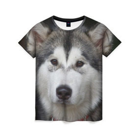 Женская футболка 3D с принтом Хаски в Петрозаводске, 100% полиэфир ( синтетическое хлопкоподобное полотно) | прямой крой, круглый вырез горловины, длина до линии бедер | волк | маламут | собака | хаски | щенок
