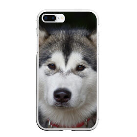 Чехол для iPhone 7Plus/8 Plus матовый с принтом Хаски в Петрозаводске, Силикон | Область печати: задняя сторона чехла, без боковых панелей | волк | маламут | собака | хаски | щенок