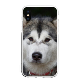 Чехол для iPhone XS Max матовый с принтом Хаски в Петрозаводске, Силикон | Область печати: задняя сторона чехла, без боковых панелей | волк | маламут | собака | хаски | щенок