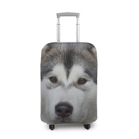 Чехол для чемодана 3D с принтом Хаски в Петрозаводске, 86% полиэфир, 14% спандекс | двустороннее нанесение принта, прорези для ручек и колес | волк | маламут | собака | хаски | щенок