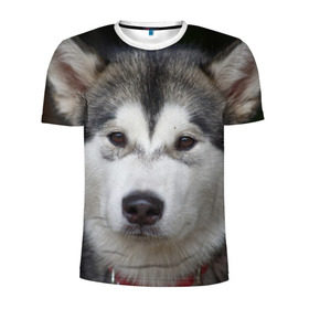 Мужская футболка 3D спортивная с принтом Хаски в Петрозаводске, 100% полиэстер с улучшенными характеристиками | приталенный силуэт, круглая горловина, широкие плечи, сужается к линии бедра | волк | маламут | собака | хаски | щенок