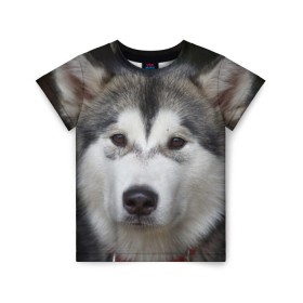 Детская футболка 3D с принтом Хаски в Петрозаводске, 100% гипоаллергенный полиэфир | прямой крой, круглый вырез горловины, длина до линии бедер, чуть спущенное плечо, ткань немного тянется | Тематика изображения на принте: волк | маламут | собака | хаски | щенок