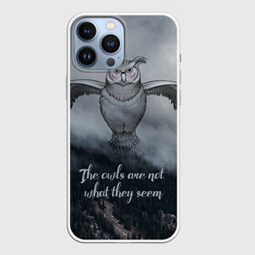 Чехол для iPhone 13 Pro Max с принтом Twin Peaks в Петрозаводске,  |  | Тематика изображения на принте: twin peaks | дэвид линч | лес | лора палмер | сова | твин пикс | туман