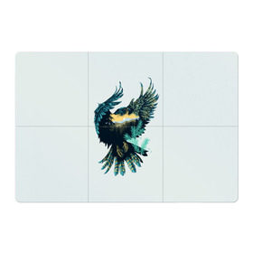 Магнитный плакат 3Х2 с принтом Орел в Петрозаводске, Полимерный материал с магнитным слоем | 6 деталей размером 9*9 см | беркут | кречет | орел | природа | птица | ястреб