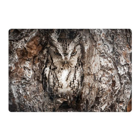 Магнитный плакат 3Х2 с принтом Камуфляж сова в Петрозаводске, Полимерный материал с магнитным слоем | 6 деталей размером 9*9 см | Тематика изображения на принте: дерево | пернатая | птица | филин