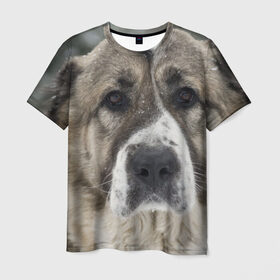 Мужская футболка 3D с принтом САО (алабай) в Петрозаводске, 100% полиэфир | прямой крой, круглый вырез горловины, длина до линии бедер | большая огромная | грозная | добрая | друг человека | животное | красивая | милая | пес | породистая собака | породы | прикольная | сао алабай | щенок