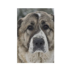Обложка для паспорта матовая кожа с принтом САО (алабай) в Петрозаводске, натуральная матовая кожа | размер 19,3 х 13,7 см; прозрачные пластиковые крепления | большая огромная | грозная | добрая | друг человека | животное | красивая | милая | пес | породистая собака | породы | прикольная | сао алабай | щенок
