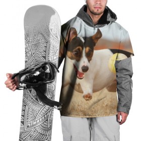 Накидка на куртку 3D с принтом Счастье в Петрозаводске, 100% полиэстер |  | Тематика изображения на принте: друг человека | животное | игра | красивая | ловит | маленький | милая | мяч | на природе | пес | породистая собака | породы | прикольная | счастливый | щенок