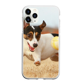 Чехол для iPhone 11 Pro Max матовый с принтом Счастье в Петрозаводске, Силикон |  | Тематика изображения на принте: друг человека | животное | игра | красивая | ловит | маленький | милая | мяч | на природе | пес | породистая собака | породы | прикольная | счастливый | щенок