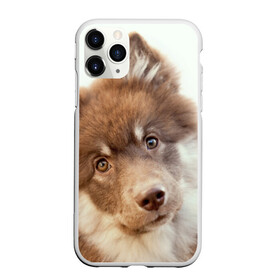 Чехол для iPhone 11 Pro Max матовый с принтом Милый в Петрозаводске, Силикон |  | друг человека | животное | красивая | маленький | милая | милый взгляд | пес | песик | породистая собака | породы | прикольная | рыжий | щенок