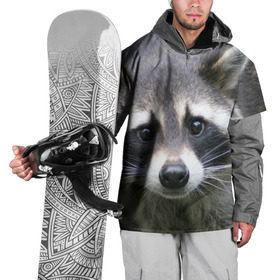 Накидка на куртку 3D с принтом Озадаченный енот в Петрозаводске, 100% полиэстер |  | добрый | енот | животное | зверек | зверь | красивый | милое | милый | полоски серые | полоскун | прикольный | природа | усатый | фауна | флора | хищник | черный | шерсть