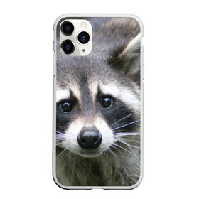 Чехол для iPhone 11 Pro матовый с принтом Озадаченный енот в Петрозаводске, Силикон |  | добрый | енот | животное | зверек | зверь | красивый | милое | милый | полоски серые | полоскун | прикольный | природа | усатый | фауна | флора | хищник | черный | шерсть