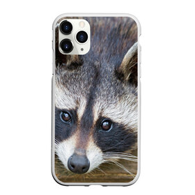 Чехол для iPhone 11 Pro матовый с принтом Енот в Петрозаводске, Силикон |  | барсук | добрый | енот | животное | зверек | зверь | красивый | крошка | милое | милый | полоски серые | полоскун | прикольный | природа | скунс | усатый | фауна | флора | хищник | черный | шерсть
