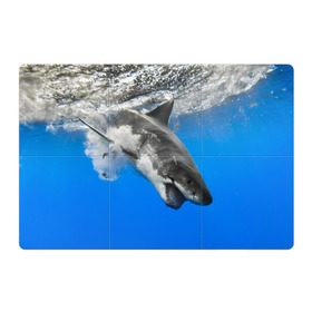 Магнитный плакат 3Х2 с принтом Акула в Петрозаводске, Полимерный материал с магнитным слоем | 6 деталей размером 9*9 см | shark | море | синий | челюсти