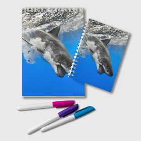Блокнот с принтом Акула в Петрозаводске, 100% бумага | 48 листов, плотность листов — 60 г/м2, плотность картонной обложки — 250 г/м2. Листы скреплены удобной пружинной спиралью. Цвет линий — светло-серый
 | shark | море | синий | челюсти