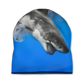 Шапка 3D с принтом Акула в Петрозаводске, 100% полиэстер | универсальный размер, печать по всей поверхности изделия | shark | море | синий | челюсти