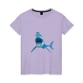 Женская футболка хлопок с принтом Акула в Петрозаводске, 100% хлопок | прямой крой, круглый вырез горловины, длина до линии бедер, слегка спущенное плечо | shark | челюсти