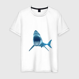 Мужская футболка хлопок с принтом Акула в Петрозаводске, 100% хлопок | прямой крой, круглый вырез горловины, длина до линии бедер, слегка спущенное плечо. | shark | челюсти
