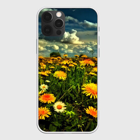 Чехол для iPhone 12 Pro Max с принтом Одуванчики в Петрозаводске, Силикон |  | Тематика изображения на принте: пейзаж | поле | цветы