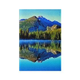 Обложка для паспорта матовая кожа с принтом Switzerland в Петрозаводске, натуральная матовая кожа | размер 19,3 х 13,7 см; прозрачные пластиковые крепления | Тематика изображения на принте: kander valley | switzerland | вечер | вода | горы | деревья | зима | лес | огни | озеро | парк | подсветка | снег | швейцария