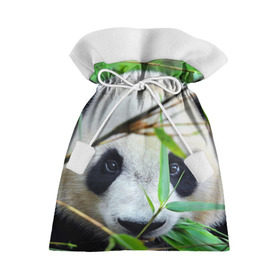 Подарочный 3D мешок с принтом Панда в лесу в Петрозаводске, 100% полиэстер | Размер: 29*39 см | Тематика изображения на принте: бамбук | животное | медведь
