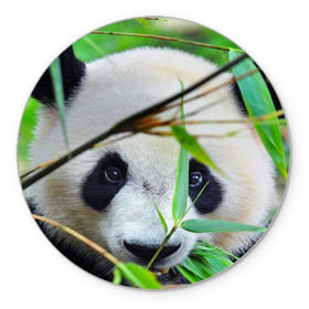 Коврик круглый с принтом Панда в лесу в Петрозаводске, резина и полиэстер | круглая форма, изображение наносится на всю лицевую часть | бамбук | животное | медведь