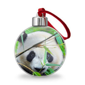 Ёлочный шар с принтом Панда в лесу в Петрозаводске, Пластик | Диаметр: 77 мм | Тематика изображения на принте: бамбук | животное | медведь