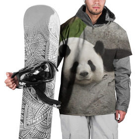 Накидка на куртку 3D с принтом Панда на камушке в Петрозаводске, 100% полиэстер |  | бамбук | животное | медведь