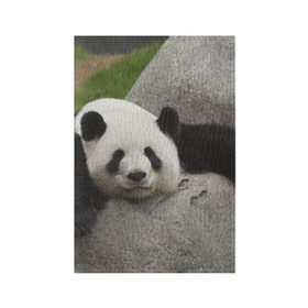 Обложка для паспорта матовая кожа с принтом Панда на камушке в Петрозаводске, натуральная матовая кожа | размер 19,3 х 13,7 см; прозрачные пластиковые крепления | бамбук | животное | медведь