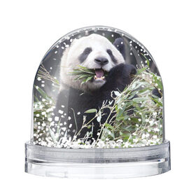 Снежный шар с принтом Панда кушает в Петрозаводске, Пластик | Изображение внутри шара печатается на глянцевой фотобумаге с двух сторон | бамбук | животное | медведь