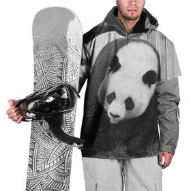 Накидка на куртку 3D с принтом Панды чб фото в Петрозаводске, 100% полиэстер |  | Тематика изображения на принте: бамбук | животное | медведь