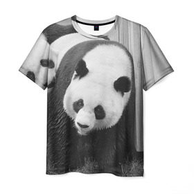 Мужская футболка 3D с принтом Панды чб фото в Петрозаводске, 100% полиэфир | прямой крой, круглый вырез горловины, длина до линии бедер | бамбук | животное | медведь