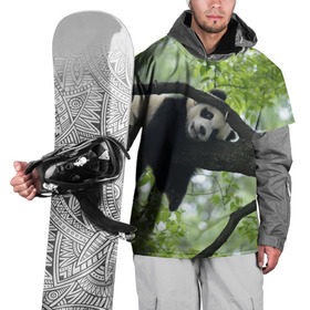 Накидка на куртку 3D с принтом Панда спит на ветке в Петрозаводске, 100% полиэстер |  | бамбук | животное | медведь