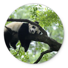 Коврик круглый с принтом Панда спит на ветке в Петрозаводске, резина и полиэстер | круглая форма, изображение наносится на всю лицевую часть | бамбук | животное | медведь