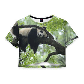 Женская футболка 3D укороченная с принтом Панда спит на ветке в Петрозаводске, 100% полиэстер | круглая горловина, длина футболки до линии талии, рукава с отворотами | бамбук | животное | медведь