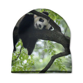 Шапка 3D с принтом Панда спит на ветке в Петрозаводске, 100% полиэстер | универсальный размер, печать по всей поверхности изделия | бамбук | животное | медведь