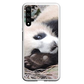 Чехол для Honor 20 с принтом Лапка панда в Петрозаводске, Силикон | Область печати: задняя сторона чехла, без боковых панелей | бамбук | животное | медведь