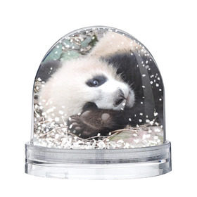 Снежный шар с принтом Лапка панда в Петрозаводске, Пластик | Изображение внутри шара печатается на глянцевой фотобумаге с двух сторон | бамбук | животное | медведь