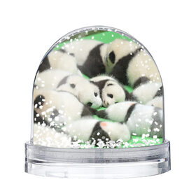 Снежный шар с принтом Новорожденные панды в Петрозаводске, Пластик | Изображение внутри шара печатается на глянцевой фотобумаге с двух сторон | бамбук | животное | медведь