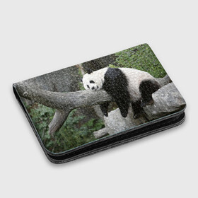 Картхолдер с принтом с принтом Большая уставшая панда в Петрозаводске, натуральная матовая кожа | размер 7,3 х 10 см; кардхолдер имеет 4 кармана для карт; | бамбук | животное | медведь