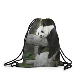 Рюкзак-мешок 3D с принтом Большая уставшая панда в Петрозаводске, 100% полиэстер | плотность ткани — 200 г/м2, размер — 35 х 45 см; лямки — толстые шнурки, застежка на шнуровке, без карманов и подкладки | бамбук | животное | медведь