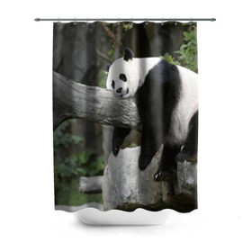 Штора 3D для ванной с принтом Большая уставшая панда в Петрозаводске, 100% полиэстер | плотность материала — 100 г/м2. Стандартный размер — 146 см х 180 см. По верхнему краю — пластиковые люверсы для креплений. В комплекте 10 пластиковых колец | бамбук | животное | медведь