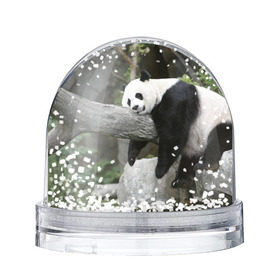 Снежный шар с принтом Большая уставшая панда в Петрозаводске, Пластик | Изображение внутри шара печатается на глянцевой фотобумаге с двух сторон | бамбук | животное | медведь