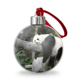 Ёлочный шар с принтом Большая уставшая панда в Петрозаводске, Пластик | Диаметр: 77 мм | бамбук | животное | медведь