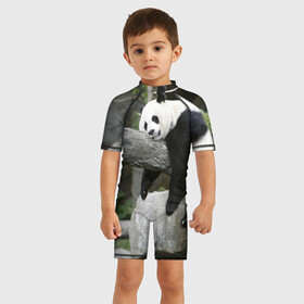 Детский купальный костюм 3D с принтом Большая уставшая панда в Петрозаводске, Полиэстер 85%, Спандекс 15% | застежка на молнии на спине | бамбук | животное | медведь