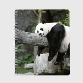 Тетрадь с принтом Большая уставшая панда в Петрозаводске, 100% бумага | 48 листов, плотность листов — 60 г/м2, плотность картонной обложки — 250 г/м2. Листы скреплены сбоку удобной пружинной спиралью. Уголки страниц и обложки скругленные. Цвет линий — светло-серый
 | бамбук | животное | медведь
