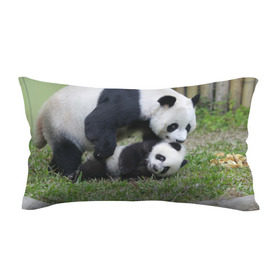 Подушка 3D антистресс с принтом Мамочка и сыночек панды в Петрозаводске, наволочка — 100% полиэстер, наполнитель — вспененный полистирол | состоит из подушки и наволочки на молнии | бамбук | животное | медведь